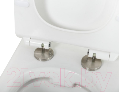 Унитаз подвесной Cezares CZR-513-TH-R