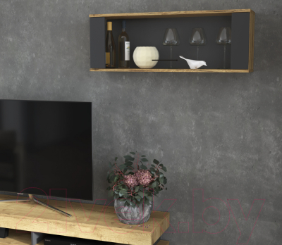 Шкаф навесной Интерлиния Loft LT-ШН2 (дуб золотой/антрацит)