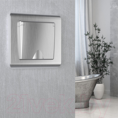 Розетка Werkel W1171209 / a051366