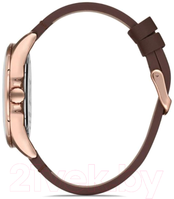 Часы наручные мужские Daniel Klein 12870-4