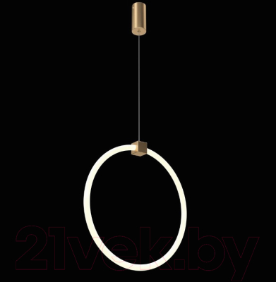 Потолочный светильник Maytoni Anillo MOD315CL-L25G3K 