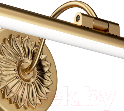 Подсветка для картин и зеркал Maytoni Oculus MIR014WL-L9G3K