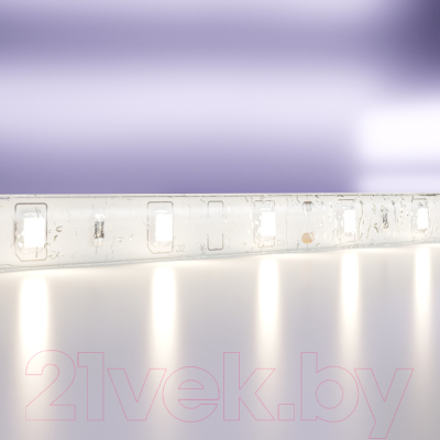 Светодиодная лента Maytoni Led Strip 12В / 10106