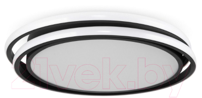 Потолочный светильник Freya Lisoa FR10031CL-L98B