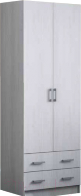 Шкаф Стендмебель Дуэт двухстворчатый (анкор) - фото