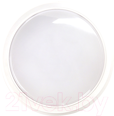 Светильник ЖКХ INhome СПБ-2-Круг / 4690612033181 - фото