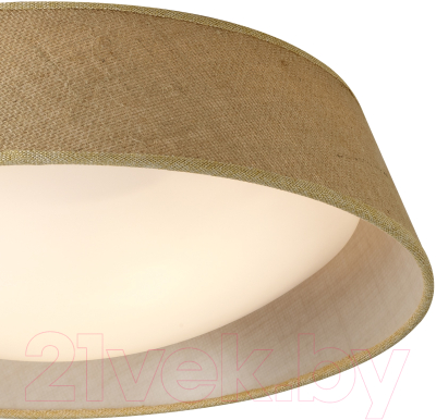 Потолочный светильник Mantra Sabina 6413