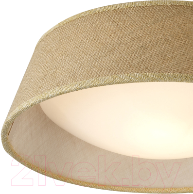 Потолочный светильник Mantra Sabina 6414