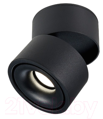 Потолочный светильник ST Luce ST652 ST652.442.12 - фото