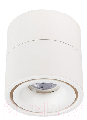 Потолочный светильник ST Luce ST652 ST652.542.12