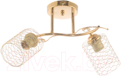 Потолочный светильник Aitin-Pro НПБ DA5094/2 - фото