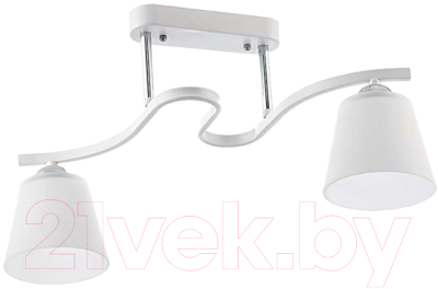 Потолочный светильник Aitin-Pro НПБ N3532/2 - фото