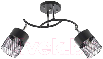 Потолочный светильник Aitin-Pro НПБ N3656/2 - фото