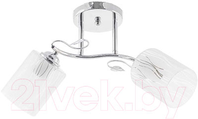 Потолочный светильник Aitin-Pro НПБ XA1079/2 - фото