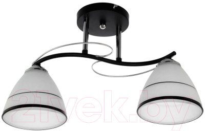Потолочный светильник Aitin-Pro НПБ XA1157/2 (черный/хром) - фото