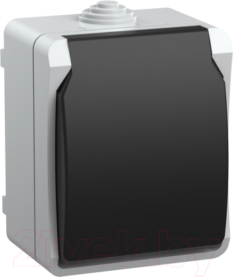 Розетка IEK Форс ERS12-K03-16-54-DC - фото