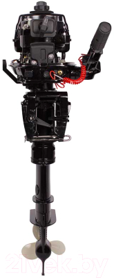 Мотор лодочный Toyama T5ABMS