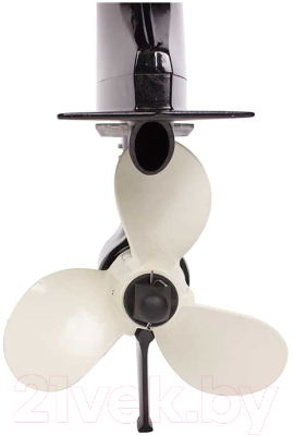 Мотор лодочный Toyama T5ABMS