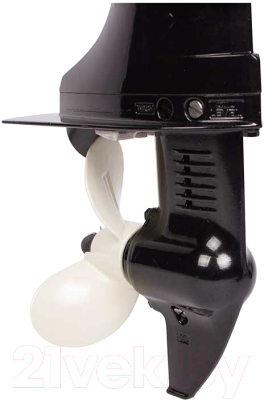 Мотор лодочный Toyama T5ABMS