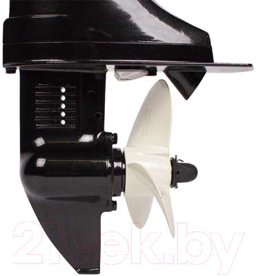 Мотор лодочный Toyama T5ABMS