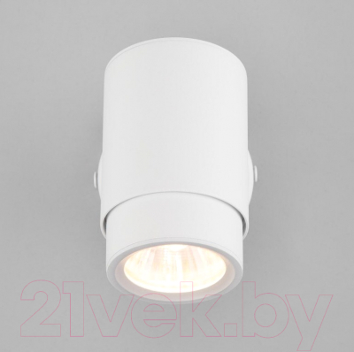 Спот Евросвет Morgan 20124/1