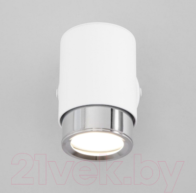 Спот Евросвет Morgan 20124/1