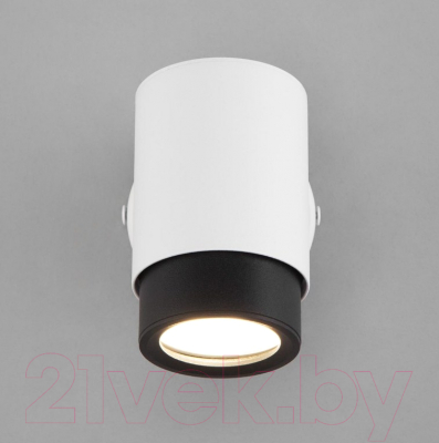 Спот Евросвет Morgan 20124/1