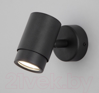 Спот Евросвет Morgan 20124/1