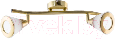 Потолочный светильник Aitin-Pro НПБ 640/2P (латунь/белый) - фото