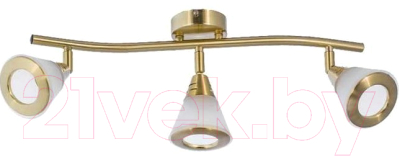 Люстра Aitin-Pro НПБ 640SA/3 (титан/белый) - фото