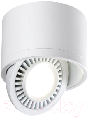 Потолочный светильник Novotech Gesso 358811