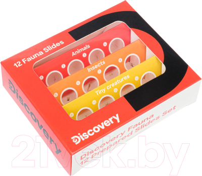 Набор микропрепаратов Discovery Фауна / 78224 - фото