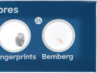 Набор микропрепаратов Discovery Флора / 78225