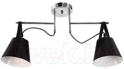 Потолочный светильник Aitin-Pro НПБ K119/2 (хром/черный) - фото