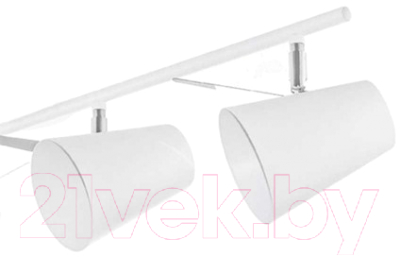 Потолочный светильник Aitin-Pro НПБ K215/2 (белый) - фото