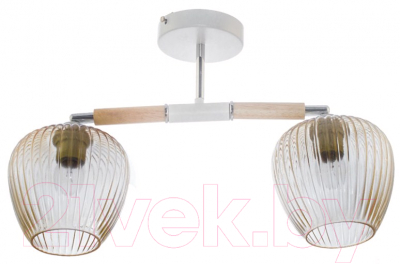 Потолочный светильник Aitin-Pro НПБ K256/2 (белый/дерево) - фото