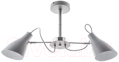 Потолочный светильник Aitin-Pro НПБ C848/2 (серый) - фото