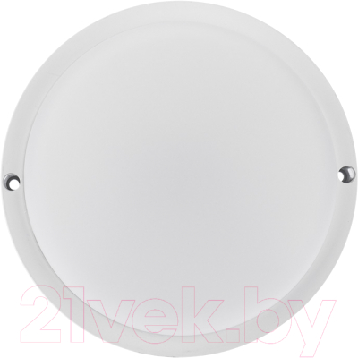 Светильник ЖКХ Rexant 607-207