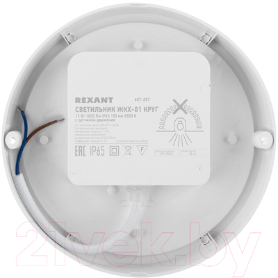 Светильник ЖКХ Rexant 607-207