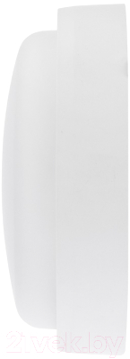 Светильник ЖКХ Rexant 607-207