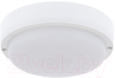 Светильник ЖКХ Rexant 607-207