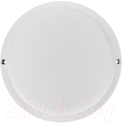 Светильник ЖКХ Rexant 607-208 - фото