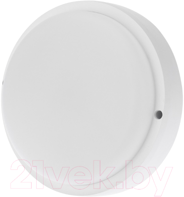 Светильник ЖКХ Rexant 607-208