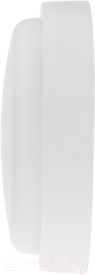 Светильник ЖКХ Rexant 607-208