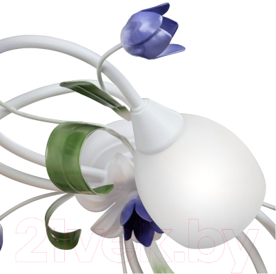 Люстра Vitaluce V1467-0/6PL