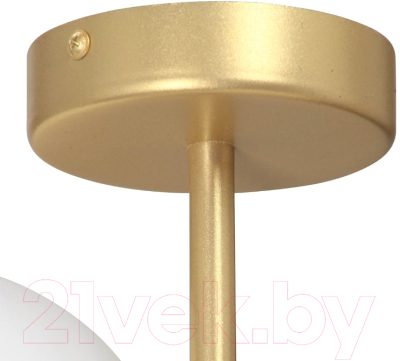 Потолочный светильник Vitaluce V2935-8/2PL