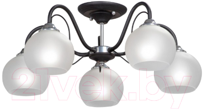 Люстра Vitaluce V3948-1/5PL - фото