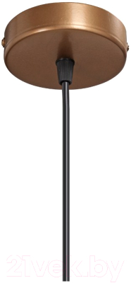 Потолочный светильник Vitaluce V4829-7/1S