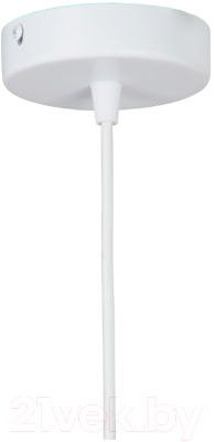 Потолочный светильник Vitaluce V4931-0/1S