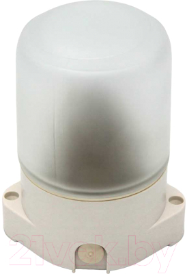 Светильник ЖКХ No Brand НББ 01-60-001 УХЛ1 - фото